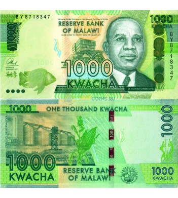 Малави бона 1000 квача 2017