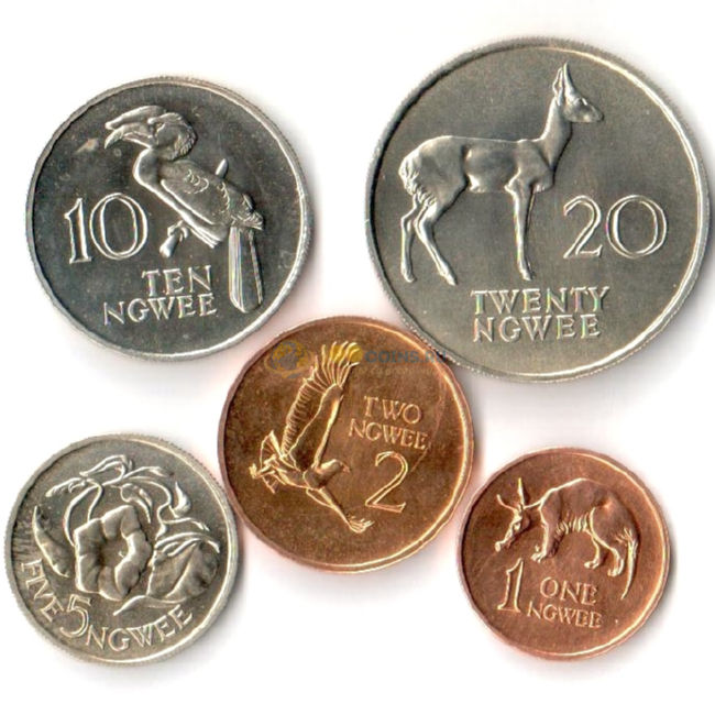Зоокоин. Монеты Замбии. Коинс монеты. Коллекция монет с животными.