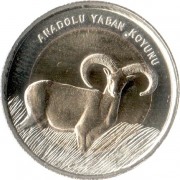 Турция 2015 1 лира Баран