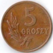 Польша 1949 5 грошей