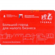 Карта тройка (TRK-356) 2019 Город для малого бизнеса