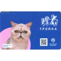 Карта тройка (TRK-541) 2020 Ищет дом Кашемир т-10 Карта тройка (TRK-541) 2020 Ищет дом Кашемир т-10