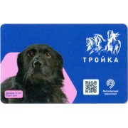 Карта тройка (TRK-523) 2020 Ищет дом Дачник т-2