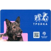 Карта тройка (TRK-524) 2020 Ищет дом Двин т-3