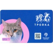 Карта тройка (TRK-525) 2020 Ищет дом Сердечко т-4