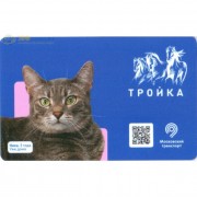 Карта тройка (TRK-537) 2020 Ищет дом Ника т-6