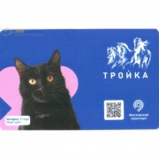 Карта тройка (TRK-539) 2020 Ищет дом Янтарка т-8