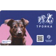 Карта тройка (TRK-538) 2020 Ищет дом Ника т-7