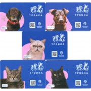 Карты тройка 2020 набор 5 карт Кошки и собаки 2