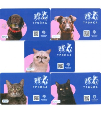 Карты 2020 набор 5 карт Кошки и собаки Ищет дом (тип 6-10)
