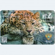 Карта тройка (TRK-855) 2021 Земля леопарда