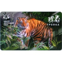 Карта тройка (TRK-997) 2022 Амурский тигр Карта тройка (TRK-997) 2022 Амурский тигр