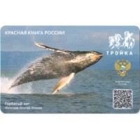 Карта тройка (TRK1128) 2023 Горбатый кит Карта тройка (TRK1128) 2023 Горбатый кит