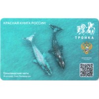 Карта тройка (TRK1129) 2023 Гренландские киты Карта тройка (TRK1129) 2023 Гренландские киты