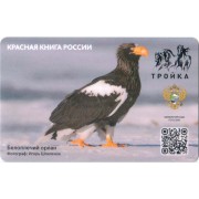 Карта тройка (TRK1018) 2023 Белоплечий орлан