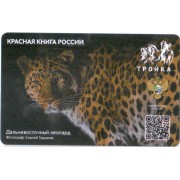 Карта тройка (TRK1019) 2023 Леопард