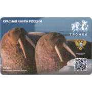 Карта тройка (TRK1022) 2023 Морж