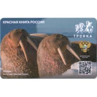 Карта тройка (TRK1022) 2023 Морж