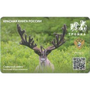 Карта тройка (TRK1023) 2023 Северный олень