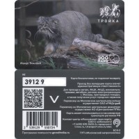 Карта тройка (TRK1369) 2024 Манул Тимофей Карта тройка (TRK1369) 2024 Манул Тимофей