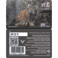 Карта тройка (TRK1368) 2024 Манул Тимофей Карта тройка (TRK1368) 2024 Манул Тимофей