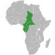 Банкноты и боны Центральной Африки