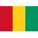 Банкноты и боны Гвинеи