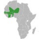 Банкноты и боны Западной Африки